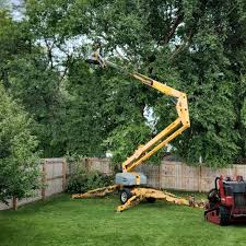 Best Lawn Pest Prevention  in Muniz, TX
