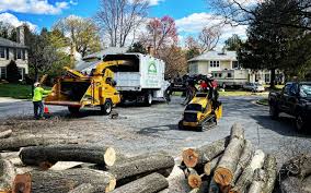 Best Tree and Shrub Care  in Muniz, TX