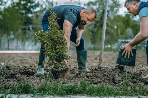  Muniz, TX Tree Services Pros
