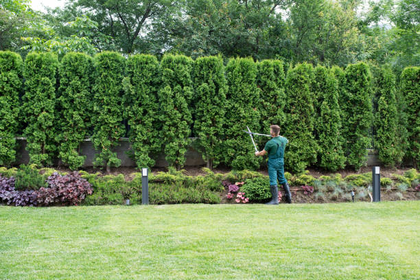 Best Hazardous Tree Removal  in Muniz, TX