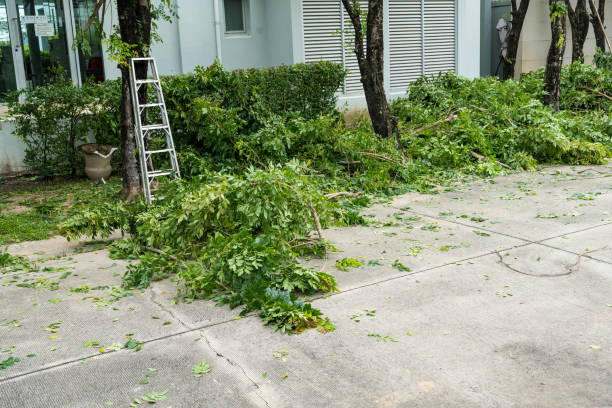 Best Lawn Drainage Solutions  in Muniz, TX